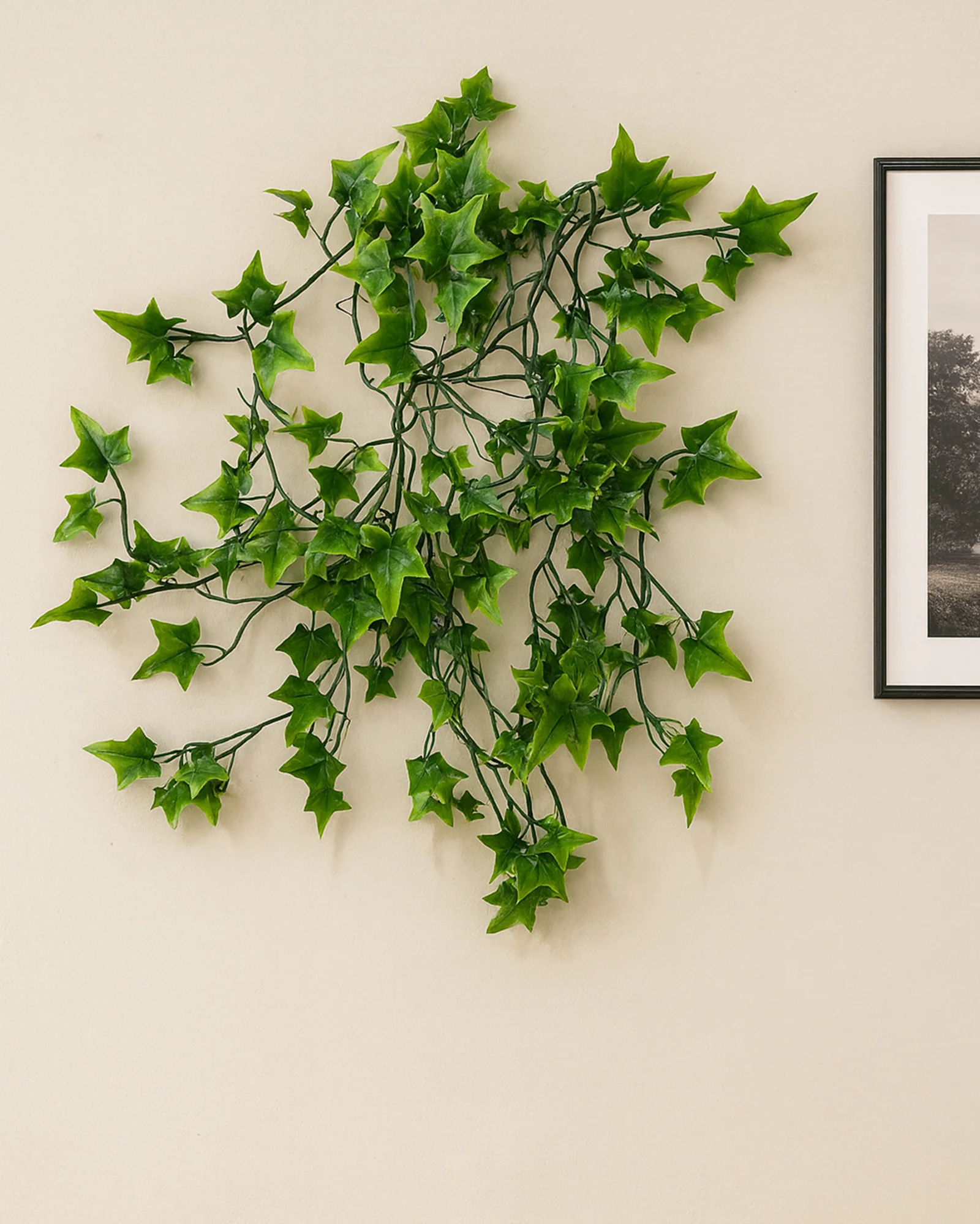 AFLORAL ONLINE STORE -AFLORAL ONLINE STORE IH0F013 GR 2