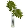 Indoor Selloum Artificial Plant In Cylinder Glass