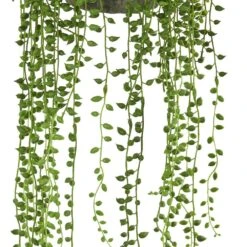 Indoor String Of Pearl Artificial Plant Hanging Basket 10 Indoor String Of Pearl Artificial Plant Hanging Basket -AFLORAL ONLINE STORE nearly natural artificial ferns 4247 4f 1000