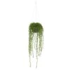 Indoor String Of Pearl Artificial Plant Hanging Basket -AFLORAL ONLINE STORE nearly natural artificial ferns 4247 64 1000