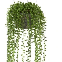 Indoor String Of Pearl Artificial Plant Hanging Basket 9 Indoor String Of Pearl Artificial Plant Hanging Basket -AFLORAL ONLINE STORE nearly natural artificial ferns 4247 c3 1000