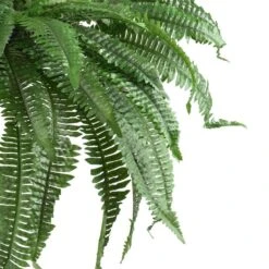 48 In. Artificial Boston Fern (Set Of 2) -AFLORAL ONLINE STORE nearly natural artificial ferns 6051 s2 1f 1000