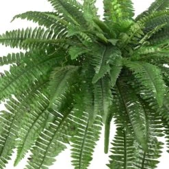 48 In. Artificial Boston Fern (Set Of 2) -AFLORAL ONLINE STORE nearly natural artificial ferns 6051 s2 4f 1000