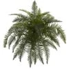 Indoor 26 In. River Fern Artificial Plant (2-Set) 1 Indoor 26 In. River Fern Artificial Plant (2-Set) -AFLORAL ONLINE STORE nearly natural artificial ferns 6119 s2 64 1000