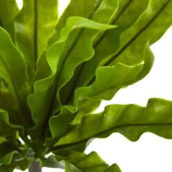 Indoor 9 In. Birds Nest Fern Artificial Plant -AFLORAL ONLINE STORE nearly natural artificial ferns 6144 s8 4f 1000