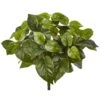 Indoor 16 In. Pothos Artificial Plant (Set Of 6) 1 Indoor 16 In. Pothos Artificial Plant (Set Of 6) -AFLORAL ONLINE STORE nearly natural artificial ferns 6150 s6 64 1000
