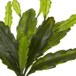 Indoor 14 In. Epiphyllum Cactus Artificial Plant (Set Of 4) 8 Indoor 14 In. Epiphyllum Cactus Artificial Plant (Set Of 4) -AFLORAL ONLINE STORE nearly natural artificial ferns 6177 s4 4f 1000