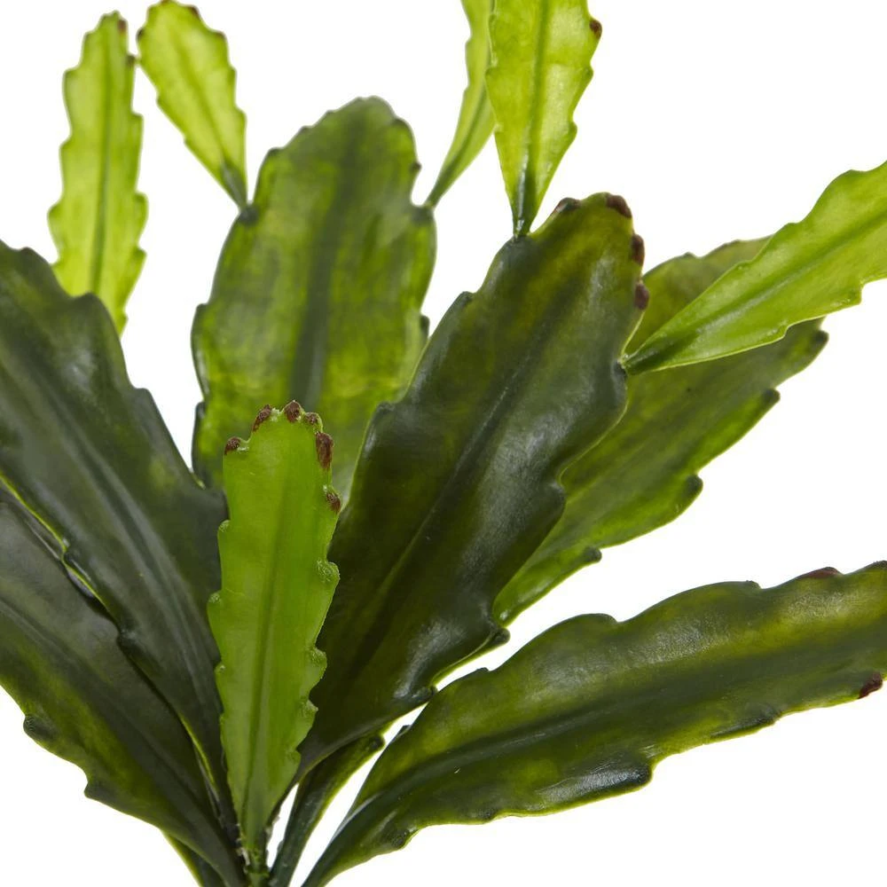 Indoor 14 In. Epiphyllum Cactus Artificial Plant (Set Of 4) 5 Indoor 14 In. Epiphyllum Cactus Artificial Plant (Set Of 4) - Image 3