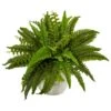 Indoor Boston Artificial Fern In White Planter -AFLORAL ONLINE STORE nearly natural artificial ferns 6308 64 1000