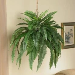 Large Artificial Boston Fern Hanging Basket 13 Large Artificial Boston Fern Hanging Basket -AFLORAL ONLINE STORE nearly natural artificial ferns 6774 31 1000