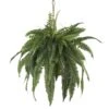 Large Artificial Boston Fern Hanging Basket -AFLORAL ONLINE STORE nearly natural artificial ferns 6774 64 1000
