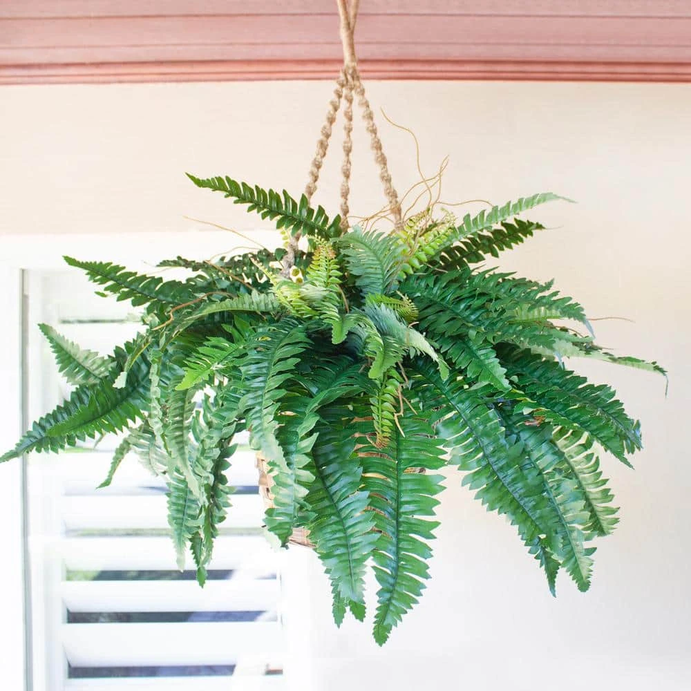 29 In. Artificial Boston Fern Hanging Basket 5 29 In. Artificial Boston Fern Hanging Basket - Image 3