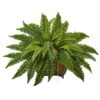 23 In. Artificial Boston Fern In Metallic Planter 2 23 In. Artificial Boston Fern In Metallic Planter -AFLORAL ONLINE STORE nearly natural artificial ferns 6933 64 1000