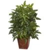 Indoor Bracken Artificial Fern In Wooden Planter -AFLORAL ONLINE STORE nearly natural artificial ferns 6941 64 1000