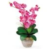 25 In. Artificial Double Phalaenopsis Silk Orchid Flower Arrangement In Dark Pink 1 25 In. Artificial Double Phalaenopsis Silk Orchid Flower Arrangement In Dark Pink -AFLORAL ONLINE STORE nearly natural artificial flowers 1026 dp 64 1000