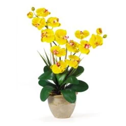 25 In. Artificial Double Stem Phalaenopsis Silk Orchid Flower Arrangement