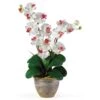 25 In. Artificial Double Phalaenopsis Silk Orchid Flower Arrangement In White 2 25 In. Artificial Double Phalaenopsis Silk Orchid Flower Arrangement In White -AFLORAL ONLINE STORE nearly natural artificial flowers 1026 wh 64 1000