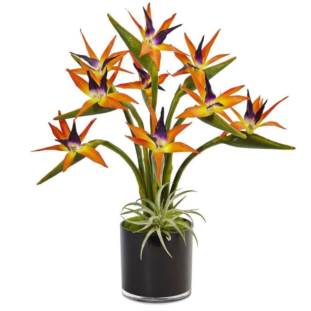 Indoor Bird Of Paradise Silk Artificial Arrangement In Black Glossy Cylinder 3 Indoor Bird Of Paradise Silk Artificial Arrangement In Black Glossy Cylinder