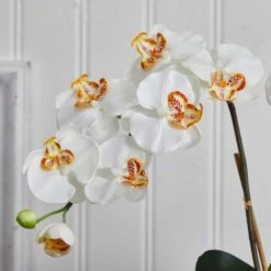 Indoor Double Phalaenopsis Orchid Silk Artificial Arrangement In White Vase -AFLORAL ONLINE STORE nearly natural artificial flowers 1480 cr 4f 1000