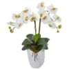 Indoor Double Phalaenopsis Orchid Silk Artificial Arrangement In White Vase 2 Indoor Double Phalaenopsis Orchid Silk Artificial Arrangement In White Vase -AFLORAL ONLINE STORE nearly natural artificial flowers 1480 cr 64 1000