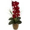 Phalaenopsis Orchid Silk Artificial Arrangement In Red -AFLORAL ONLINE STORE nearly natural artificial flowers 1513 rd 64 1000