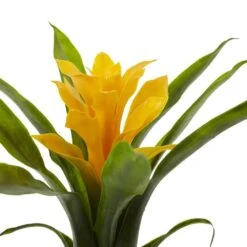 10 In. Bromeliad Artificial Flower (Set Of 6) 10 10 In. Bromeliad Artificial Flower (Set Of 6) -AFLORAL ONLINE STORE nearly natural artificial flowers 2237 s6 yl 1f 1000