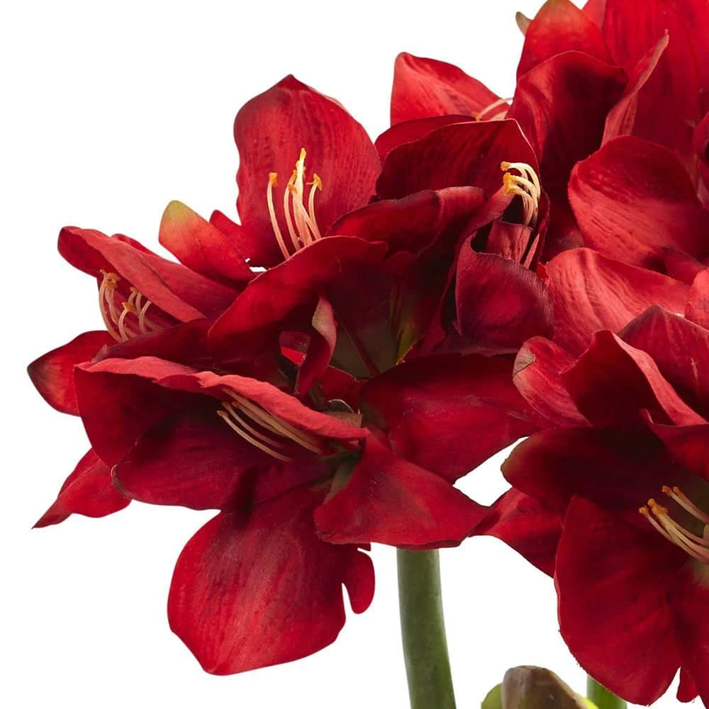26 In. Artificial Amaryllis Arrangement With Vase 4 26 In. Artificial Amaryllis Arrangement With Vase - Image 2