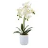 18.5 In. Artificial Phalaenopsis In Frosted Glass -AFLORAL ONLINE STORE nearly natural artificial flowers 4571 64 1000