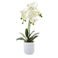 18.5 In. Artificial Phalaenopsis In Frosted Glass