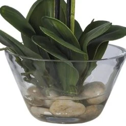 Double Phalaenopsis With Glass Vase Silk Flower Artificial Arrangement -AFLORAL ONLINE STORE nearly natural artificial flowers 4643 wh 1d 1000