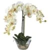 Double Phalaenopsis With Glass Vase Silk Flower Artificial Arrangement -AFLORAL ONLINE STORE nearly natural artificial flowers 4643 wh 64 1000