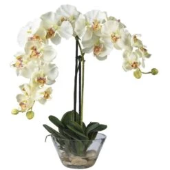 Double Phalaenopsis With Glass Vase Silk Flower Artificial Arrangement