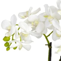 16 In. Artificial H White Phalaenopsis Silk Flower Arrangement -AFLORAL ONLINE STORE nearly natural artificial flowers 4804 66 1000