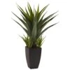 Artificial Agave Plant With Black Planter -AFLORAL ONLINE STORE nearly natural artificial flowers 4856 64 1000