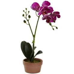Artificial Phalaenopsis Orchid With Clay Vase (Set Of 4) -AFLORAL ONLINE STORE nearly natural artificial flowers 4991 s4 1f 1000