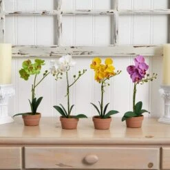 Artificial Phalaenopsis Orchid With Clay Vase (Set Of 4) -AFLORAL ONLINE STORE nearly natural artificial flowers 4991 s4 31 1000