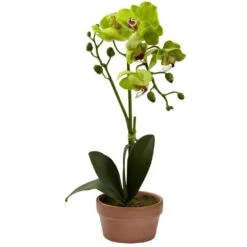 Artificial Phalaenopsis Orchid With Clay Vase (Set Of 4) -AFLORAL ONLINE STORE nearly natural artificial flowers 4991 s4 4f 1000