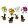 Artificial Phalaenopsis Orchid With Clay Vase (Set Of 4) 1 Artificial Phalaenopsis Orchid With Clay Vase (Set Of 4) -AFLORAL ONLINE STORE nearly natural artificial flowers 4991 s4 64 1000