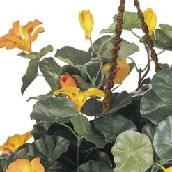 Artificial Nasturtium Hanging Basket Silk Plant 8 Artificial Nasturtium Hanging Basket Silk Plant -AFLORAL ONLINE STORE nearly natural artificial flowers 6025 4f 1000