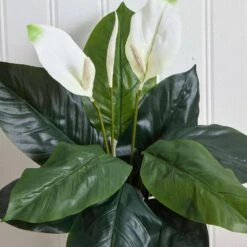 Indoor 24 In. Spathiphyllum Artificial Plant (3-Set) -AFLORAL ONLINE STORE nearly natural artificial flowers 6030 s3 4f 1000