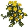 Indoor 24 In. Hibiscus Hanging Artificial Plant (2-Set) 2 Indoor 24 In. Hibiscus Hanging Artificial Plant (2-Set) -AFLORAL ONLINE STORE nearly natural artificial flowers 6171 s2 64 1000