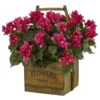 Artificial Indoor Bougainvillea Flowering Plant In Rustic Wood Planter 2 Artificial Indoor Bougainvillea Flowering Plant In Rustic Wood Planter -AFLORAL ONLINE STORE nearly natural artificial flowers 6323 64 1000