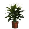 48 In. Artificial H Green Spathyfillum With Vase Silk Plant -AFLORAL ONLINE STORE nearly natural artificial flowers 6638 64 1000