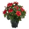 20 In. Artificial H Red Hibiscus With Black Hexagon Vase Silk Plant -AFLORAL ONLINE STORE nearly natural artificial flowers 6691 64 1000