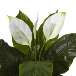 Indoor Spathiphyllum Artificial Flowering Peace Lily In Glossy Glass Planter -AFLORAL ONLINE STORE nearly natural artificial flowers 6956 4f 1000