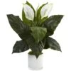 Indoor Spathiphyllum Artificial Flowering Peace Lily In Glossy Glass Planter 2 Indoor Spathiphyllum Artificial Flowering Peace Lily In Glossy Glass Planter -AFLORAL ONLINE STORE nearly natural artificial flowers 6956 64 1000