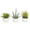 8.5 In. H Green Southwest Collection (Set Of 3) -AFLORAL ONLINE STORE nearly natural artificial grass plants 4769 64 1000