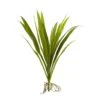 Indoor 15 In. Grass Artificial Plant (6-Set) -AFLORAL ONLINE STORE nearly natural artificial grass plants 6161 s6 64 1000