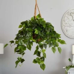 Artificial Philodendron Hanging Basket -AFLORAL ONLINE STORE nearly natural artificial grass plants 6853 1f 1000
