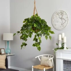 Artificial Philodendron Hanging Basket -AFLORAL ONLINE STORE nearly natural artificial grass plants 6853 31 1000
